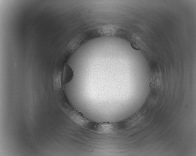 X0000069810717200605221204