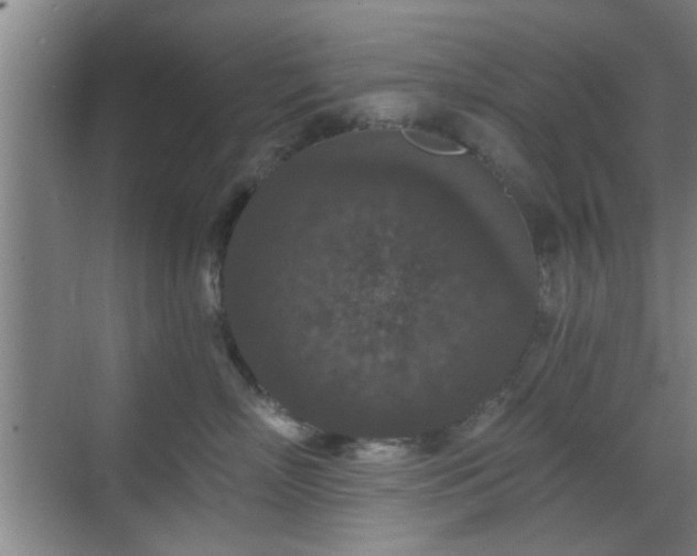 X0000069810718200605221204