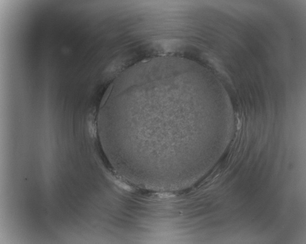 X0000069810719200605221204