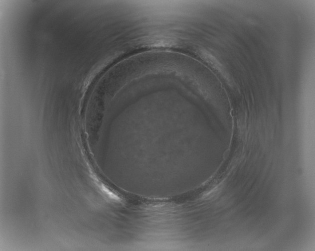 X0000069810721200605221203