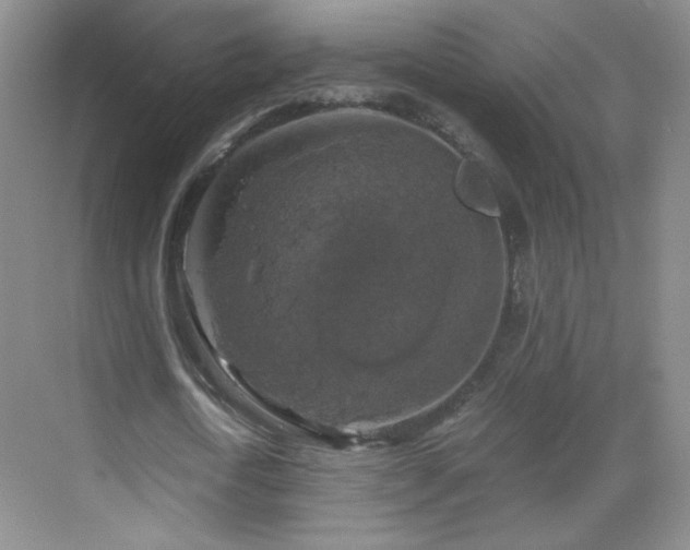 X0000069810722200605221203