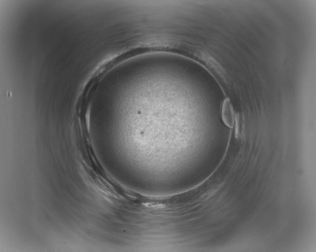 X0000069810723200605221203