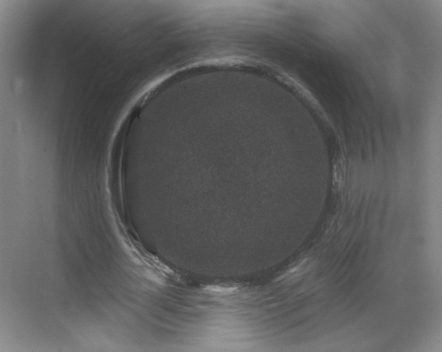 X0000069810724200605221203