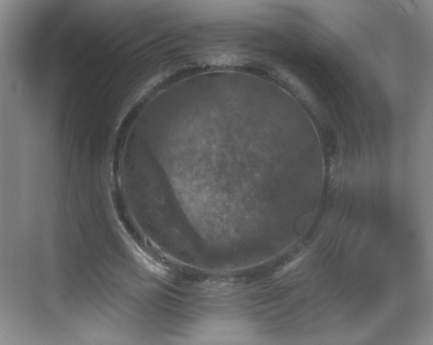 X0000069810725200605221203