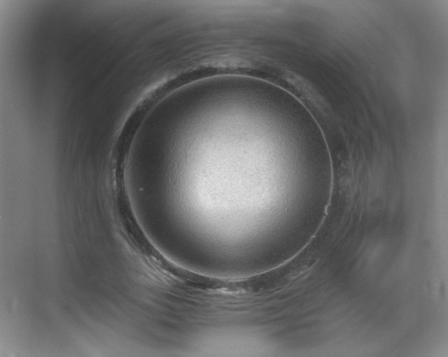 X0000069810727200605221203