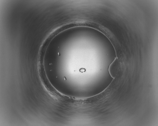 X0000069810728200605221203