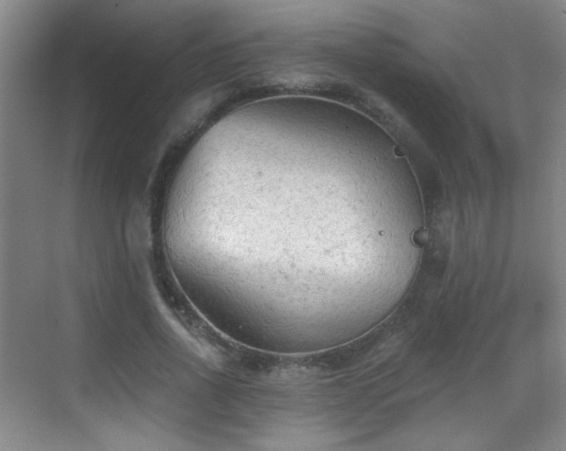 X0000069810734200605221203