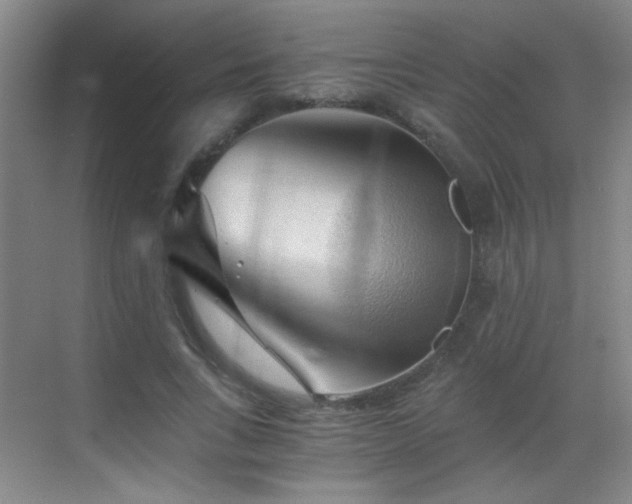 X0000069810735200605221203