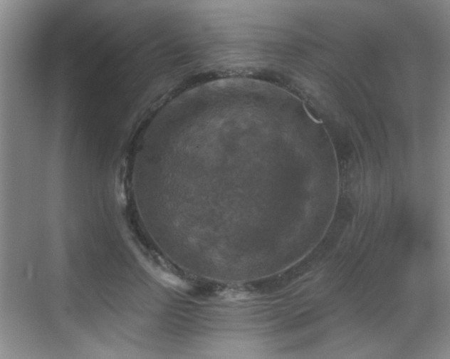 X0000069810742200605221204