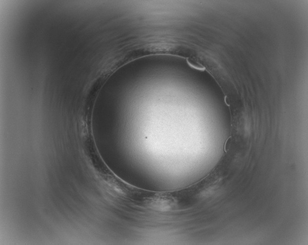 X0000069810743200605221204