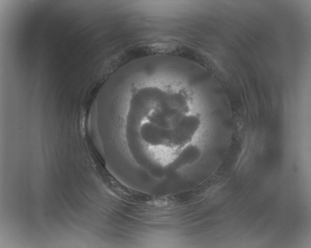 X0000069810745200605221204