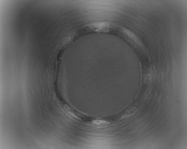 X0000069810748200605221204