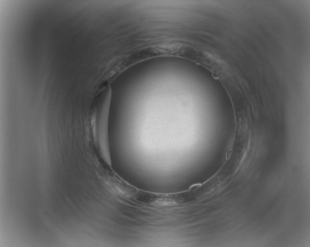 X0000069810749200605221204