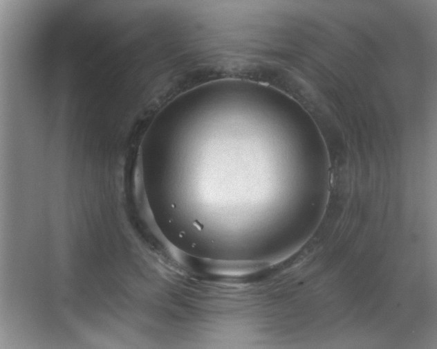 X0000069810750200605221204