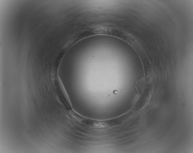 X0000069810753200605221204