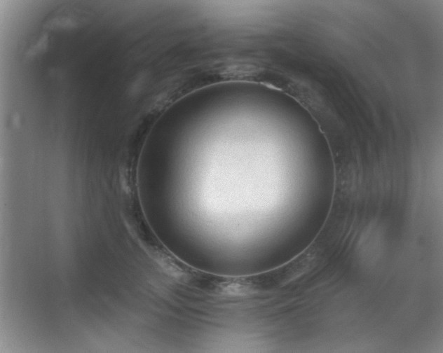 X0000069810755200605221204