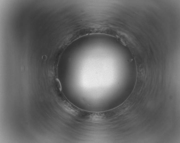 X0000069810756200605221204