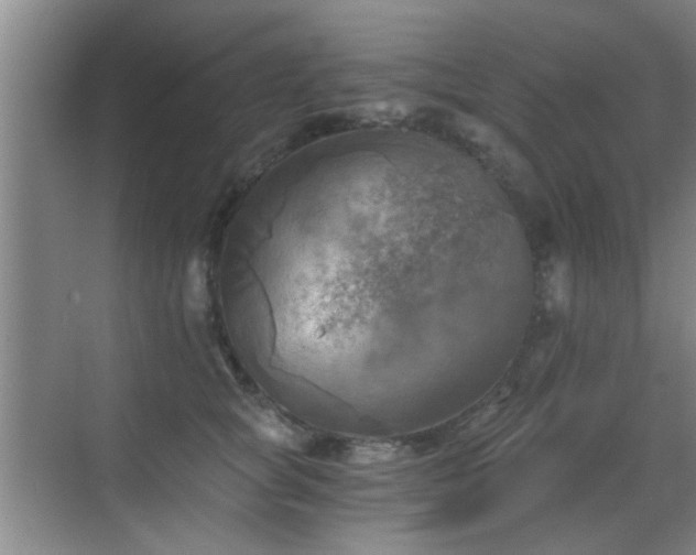 X0000069810757200605221204