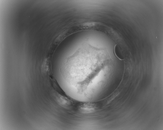 X0000069810758200605221204