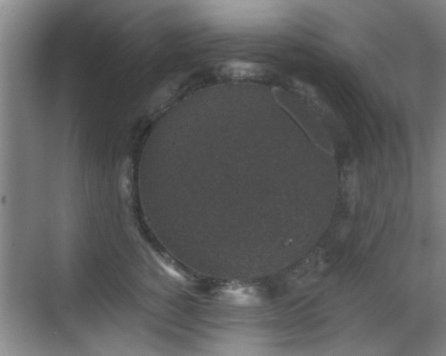 X0000069810760200605221204