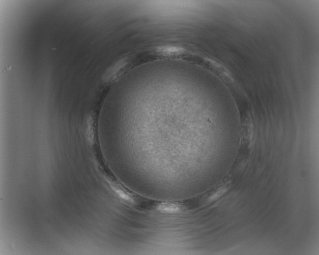 X0000069810762200605221204