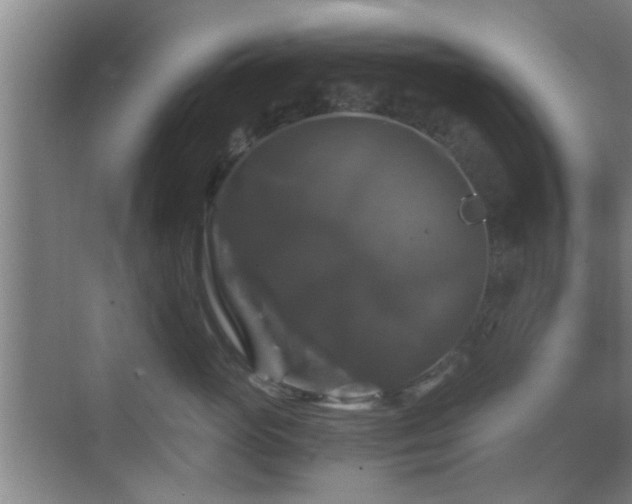 X0000069810765200605221204