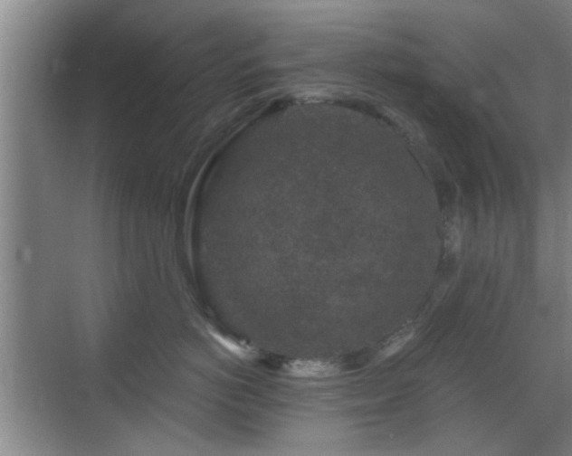 X0000069810766200605221204