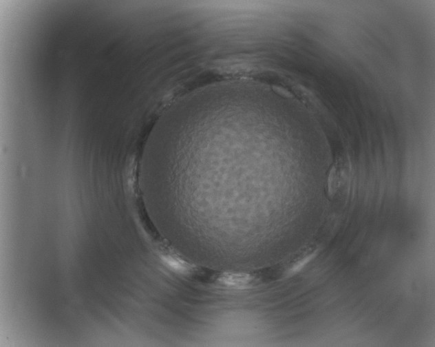 X0000069810767200605221204