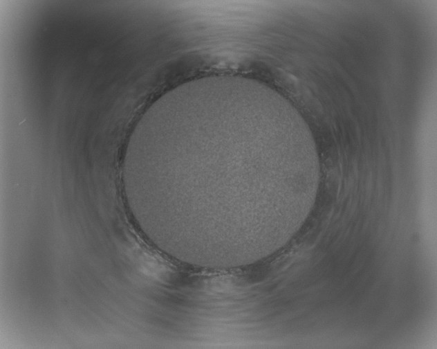 X0000069810769200605221203