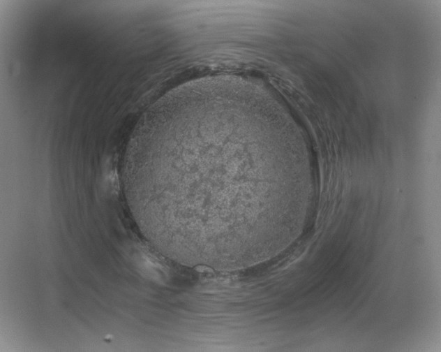 X0000069810771200605221203