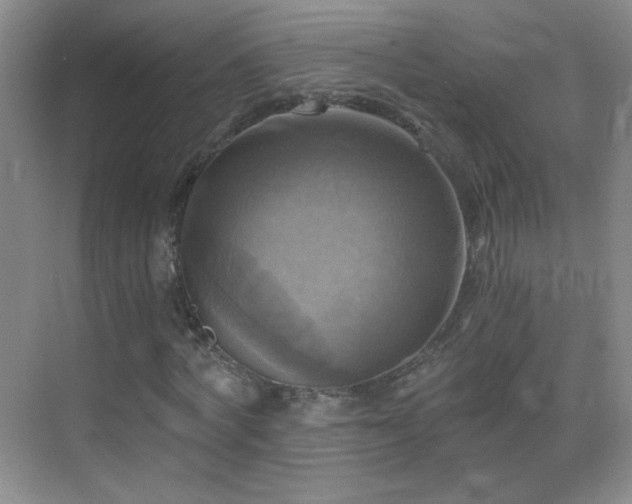 X0000069810772200605221203