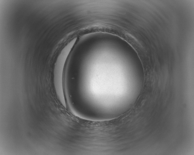 X0000069810776200605221203