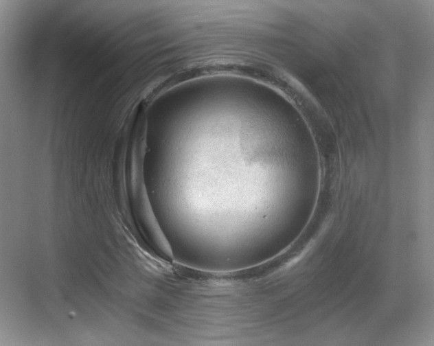 X0000069810777200605221203