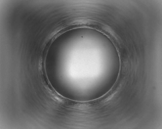 X0000069810778200605221203