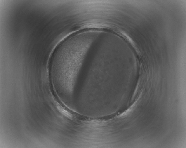 X0000069810779200605221203