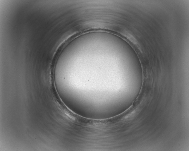 X0000069810782200605221203