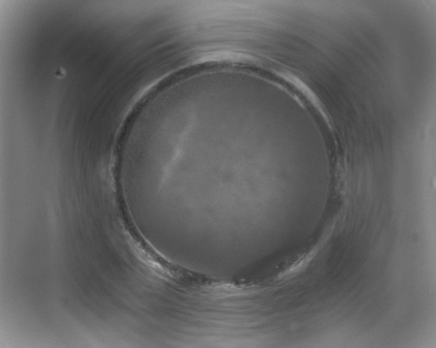 X0000069810783200605221203