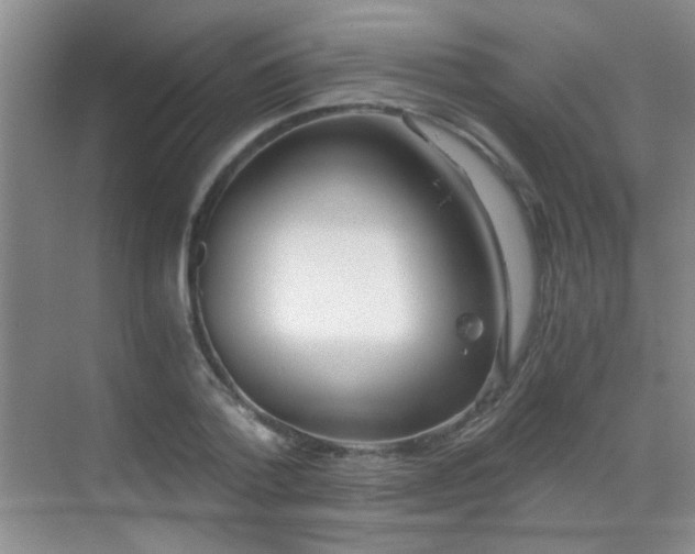 X0000069810788200605221203