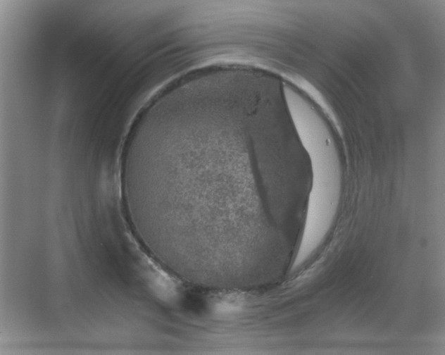 X0000069810791200605221203