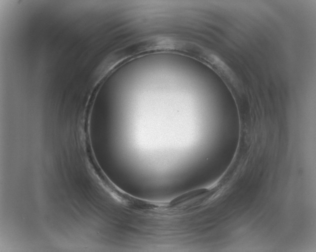 X0000069810794200605221203