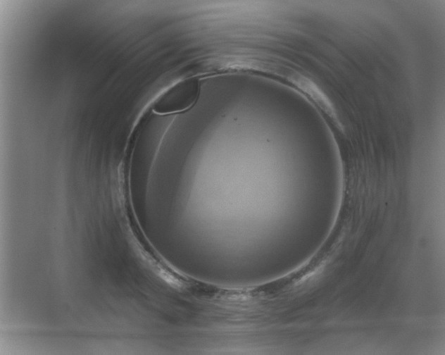 X0000069810798200605221203