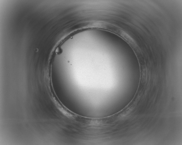 X0000069810800200605221203