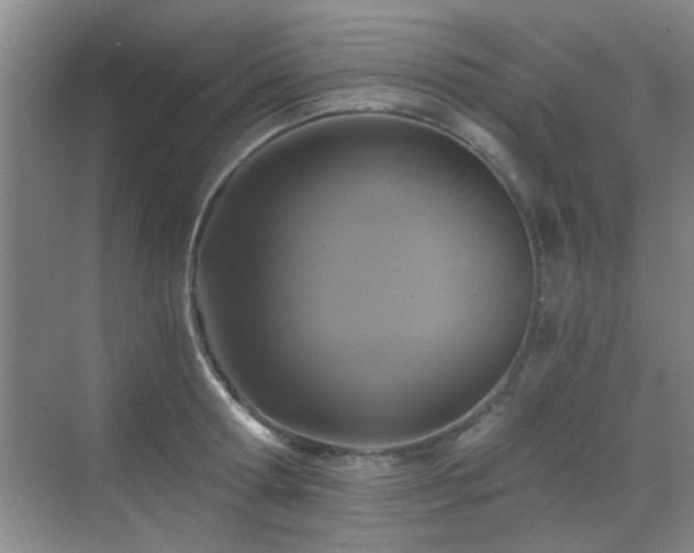 X0000069810802200605221203