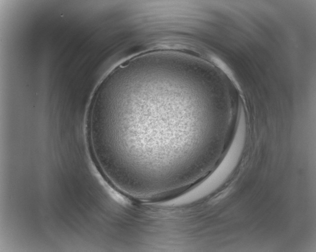 X0000069810803200605221203