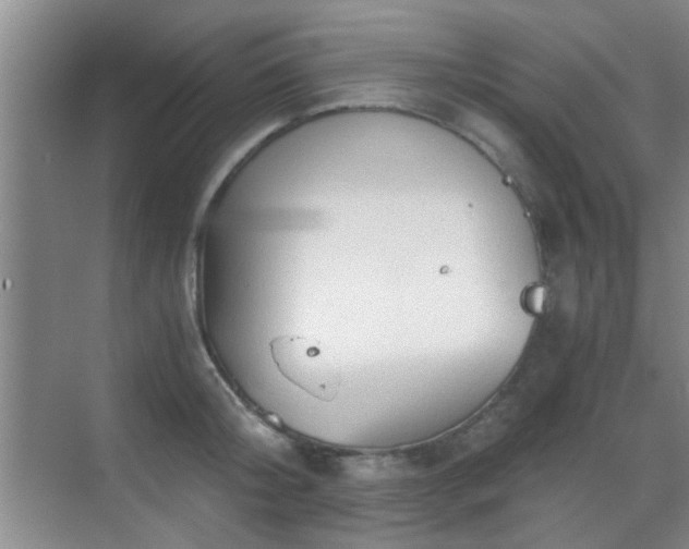 X0000069810804200605221203