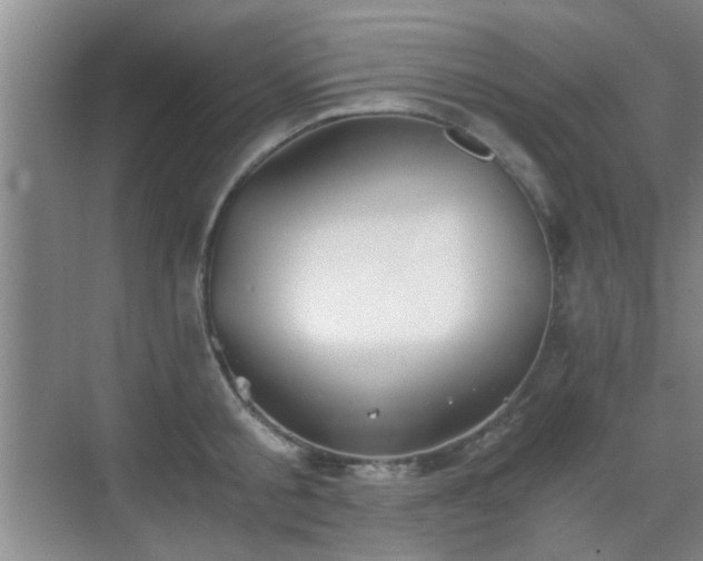 X0000069810805200605221203