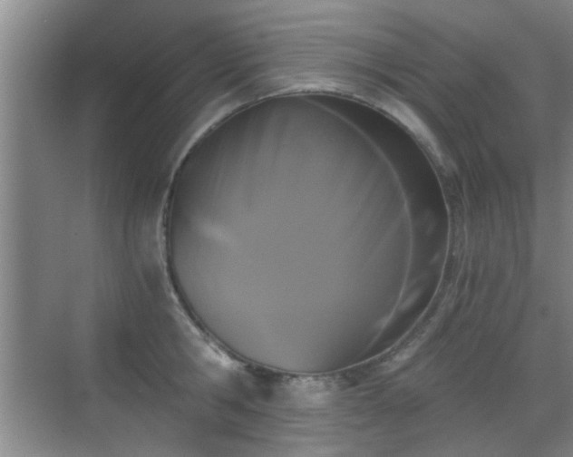 X0000069810806200605221203