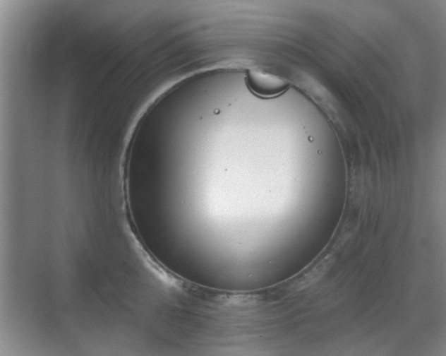 X0000069810808200605221202