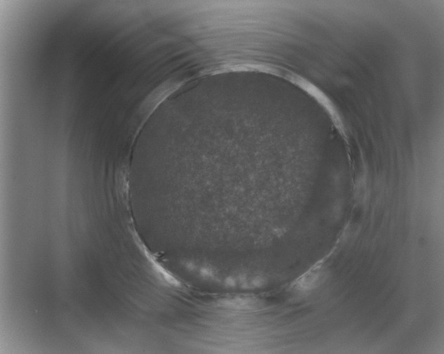 X0000069810809200605221202