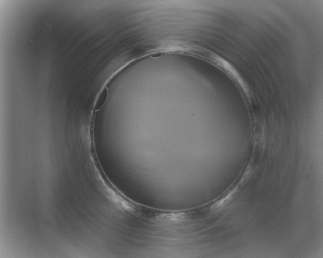 X0000069810810200605221202